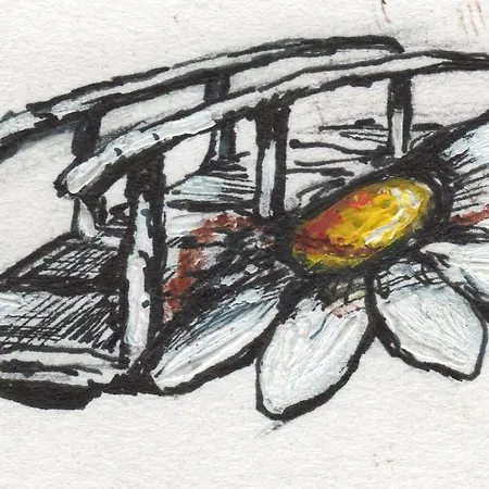 Ristorante Il Ponte 2*