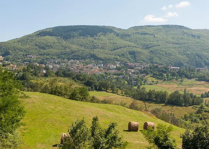 酒店 Ristorante Il Ponte 2*